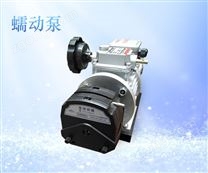 JT60-600B大流量工業(yè)蠕動泵