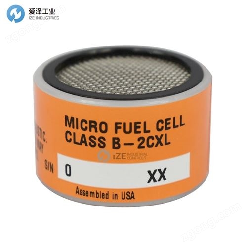 TELEDYNE氧传感器CLASS B-2CXL