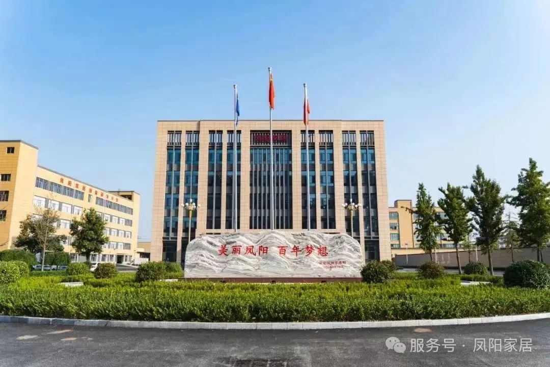 凤阳家居荣膺中国轻工业软体家具行业十强！实力领航以“向新力”锻造软体家具新标杆(图2)