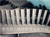 膠六大傾角擋邊輸送帶-“膠六”牌《產品》