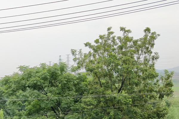 8月7日起，燃煤鍋爐超低排放控制有新技術(shù)指南